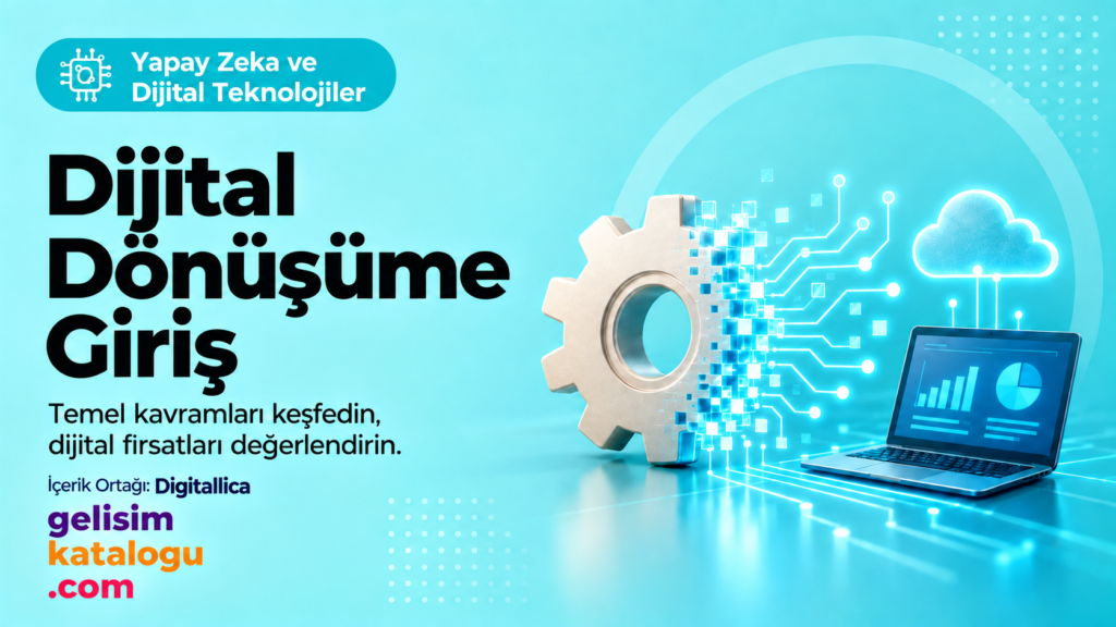 Introduction to Digital Transformation
