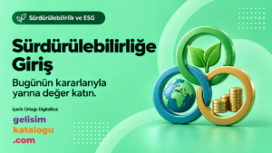 Introduction to Sustainability cover image